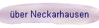 ber Neckarhausen